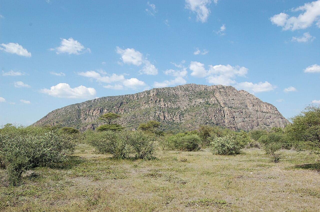 Orange and red rock face at Tsodilo Hills showing ancient San rock paintings of animals