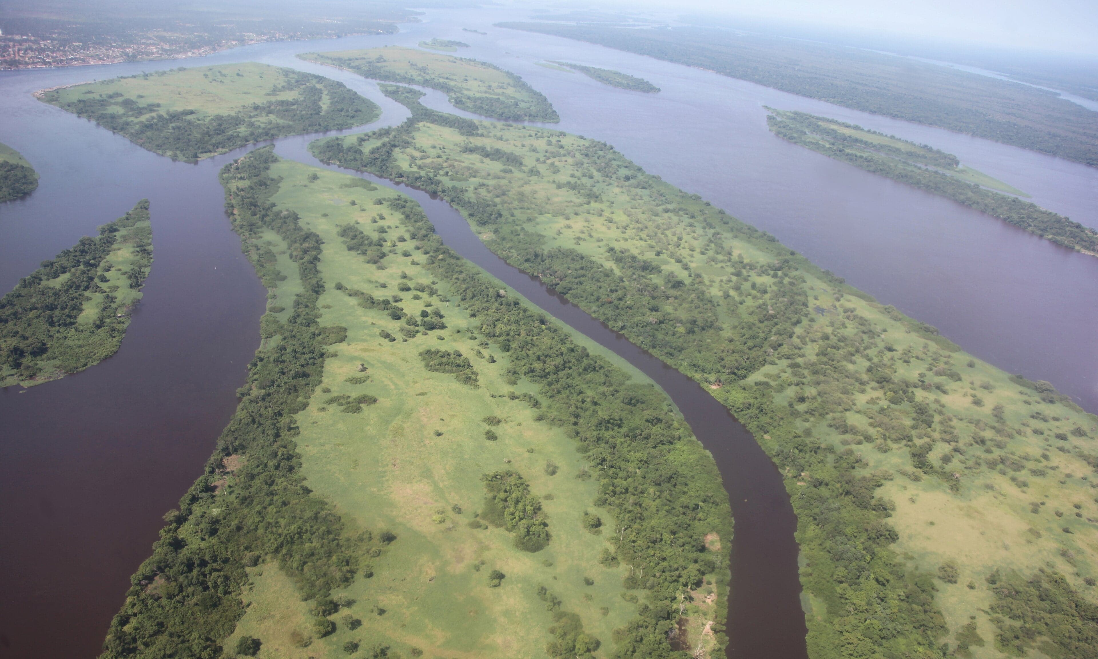 The wide Congo River flowing through dense green rainforest