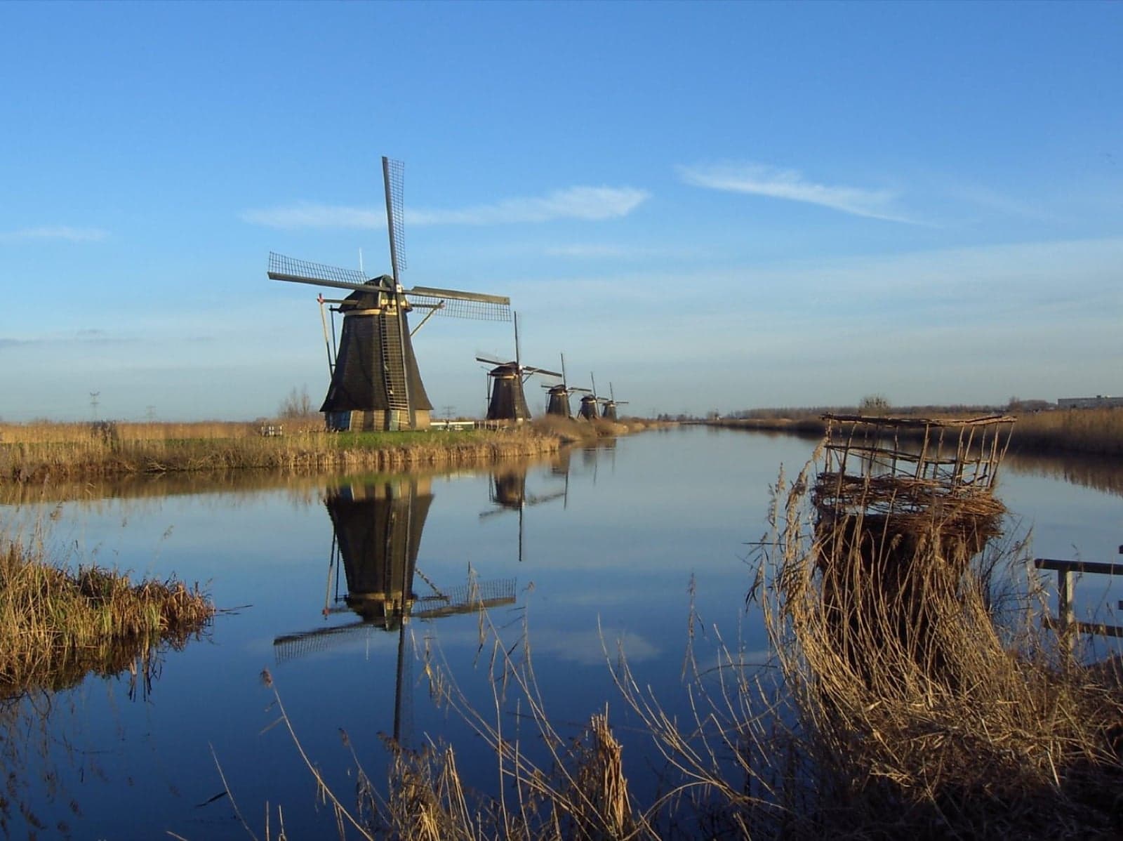 A line of historic Dutch windmills at Kinderdijk reflected in still water
