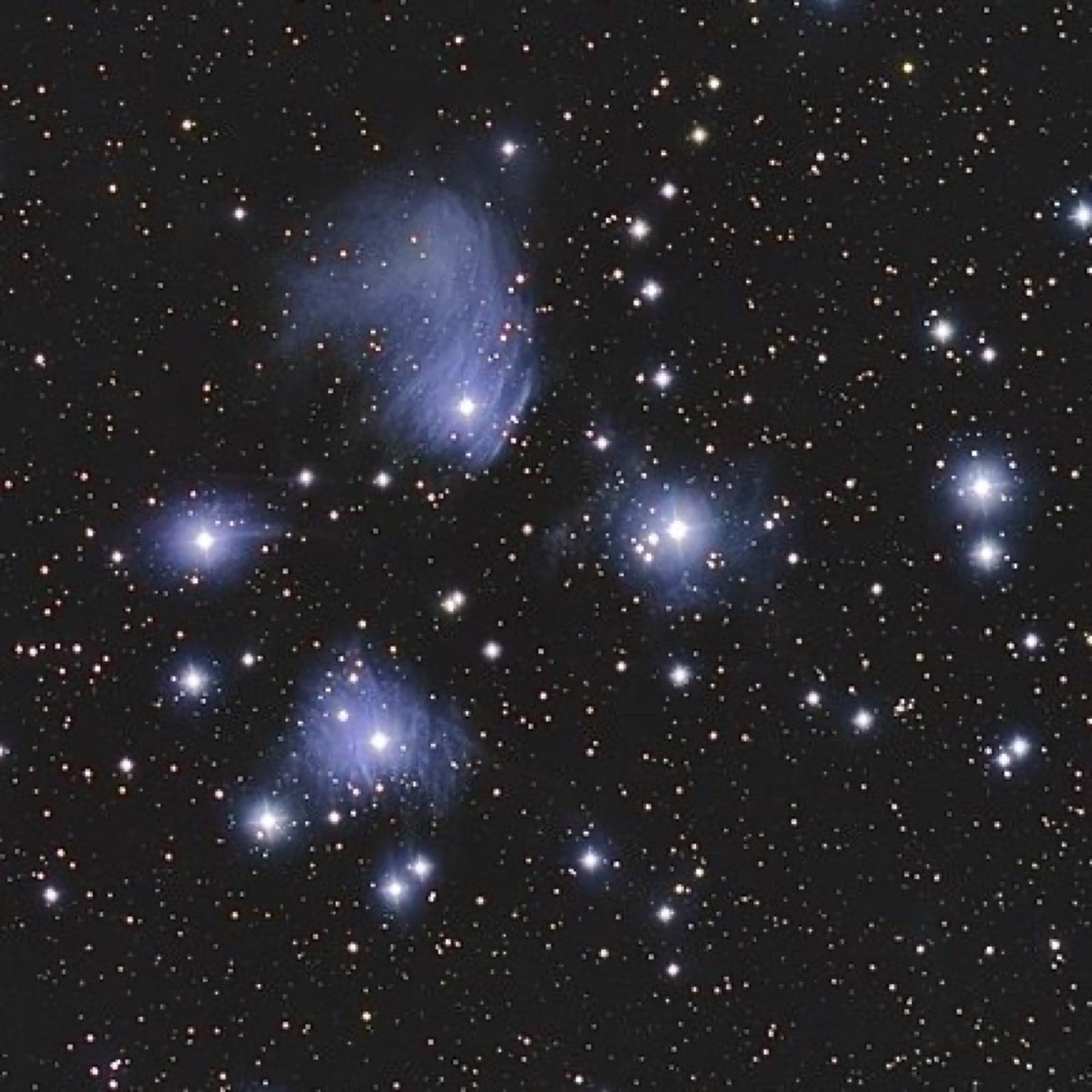 The bright stars of the Pleiades cluster - known to Māori as Matariki