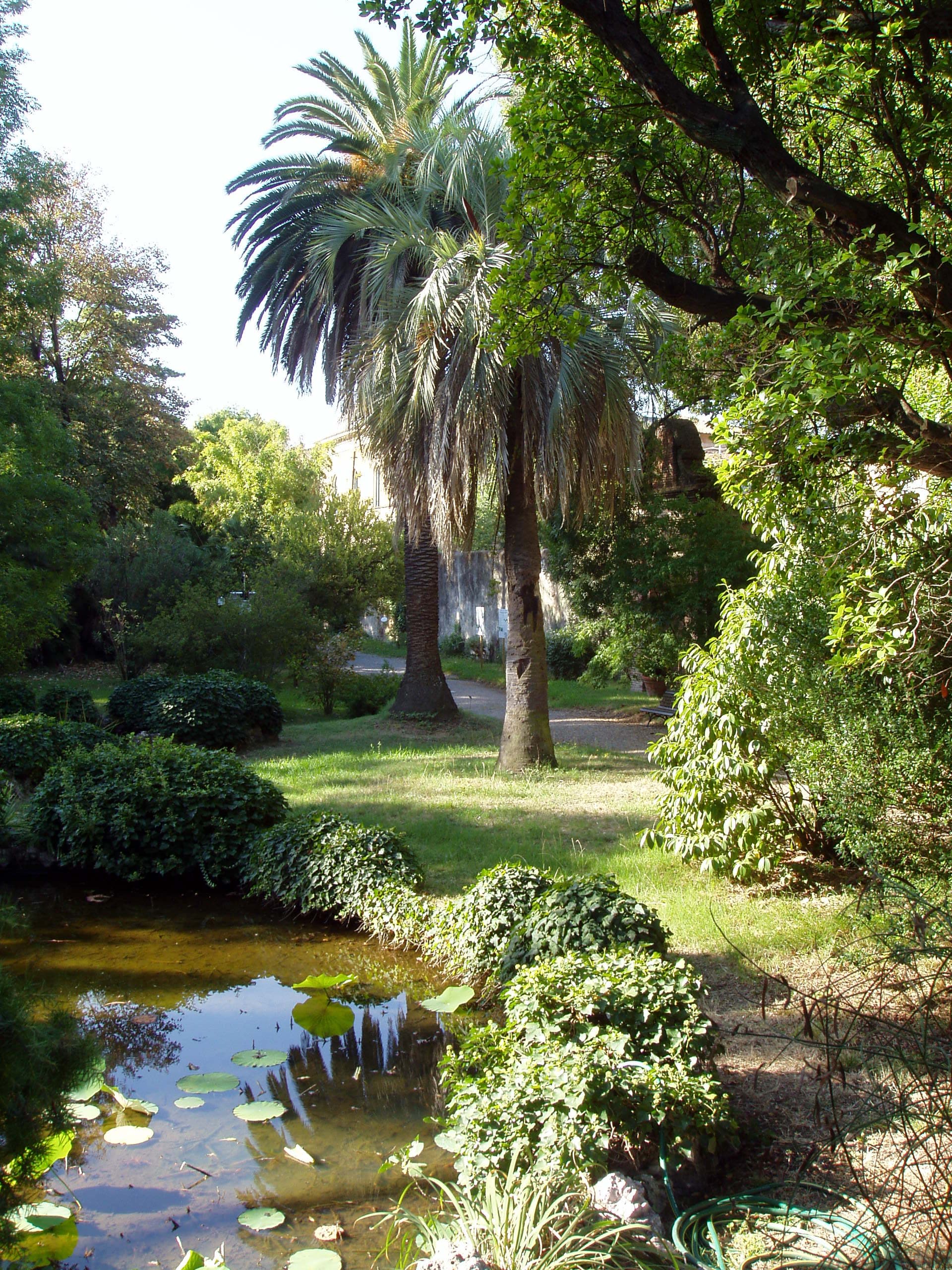 Lush tropical plants and trees inside the Saint Vincent Botanic Gardens in Kingstown