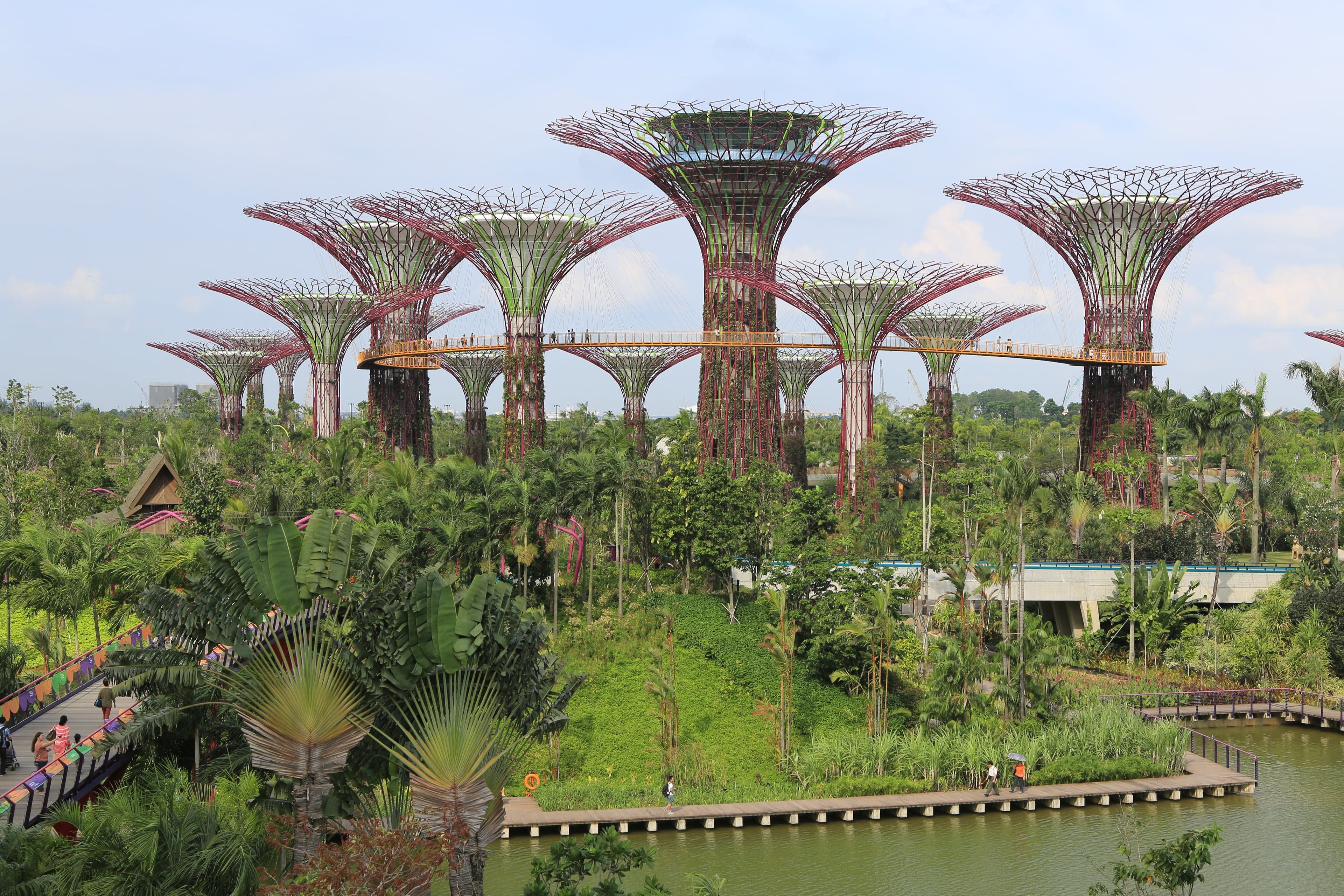 The Supertree Grove at Gardens by the Bay, Singapore
