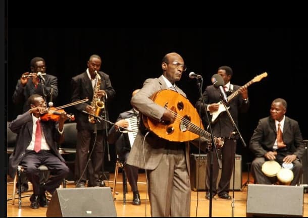 A musician playing an oud - a pear-shaped wooden lute - at a performance in Sudan