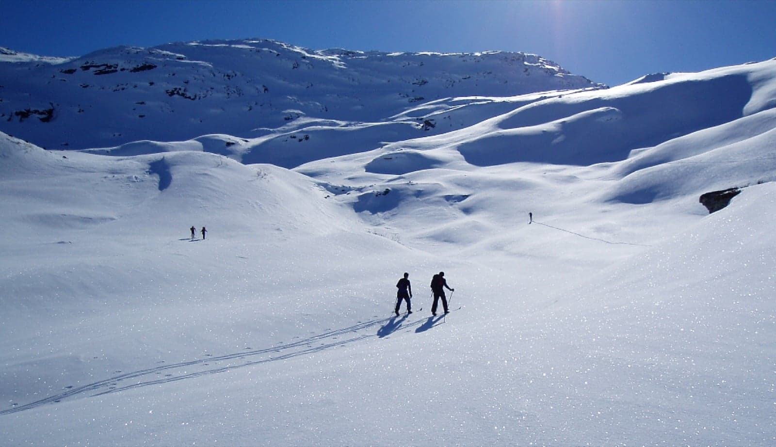 Cross-country skiers crossing a snowy Scandinavian landscape