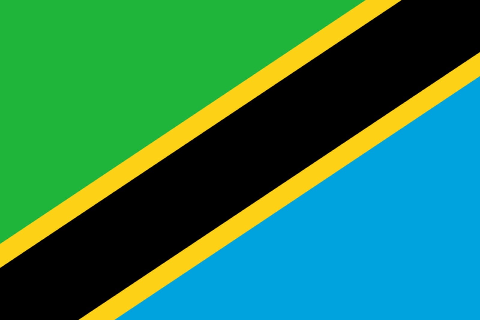 The flag of Tanzania