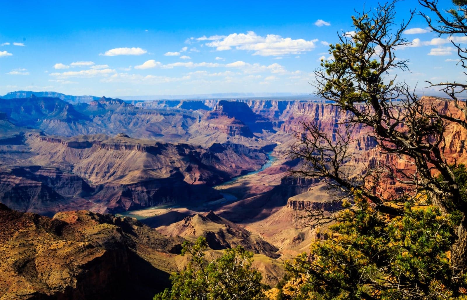 The Grand Canyon stretching to the horizon under a blue sky