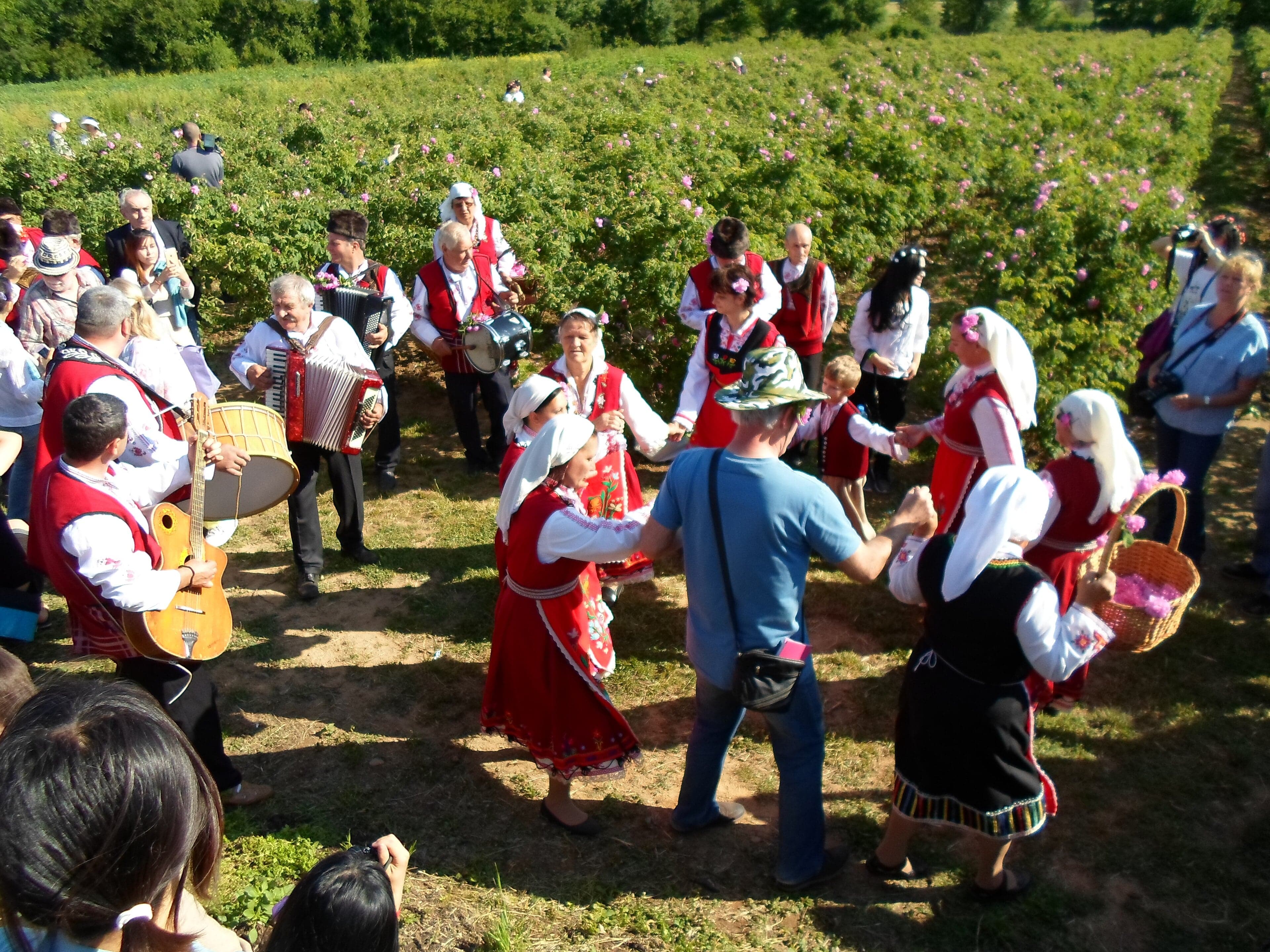 A woman in traditional Bulgarian costume surrounded by Damask roses at the Rose Festival in Kazanlak