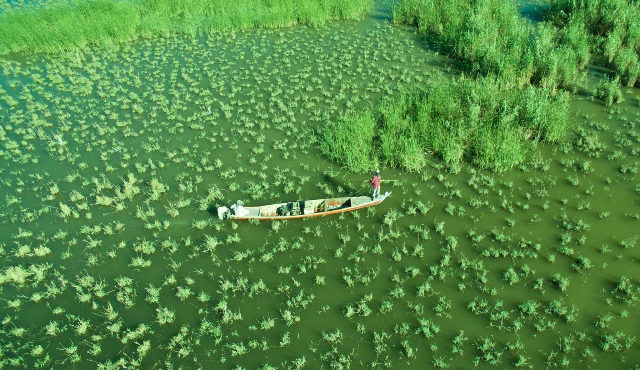 Reed houses on still water in the Mesopotamian Marshes with a traditional wooden boat nearby